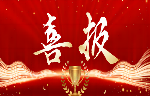 喜报! 远东控股集团连续17年上榜中国民营企业500强