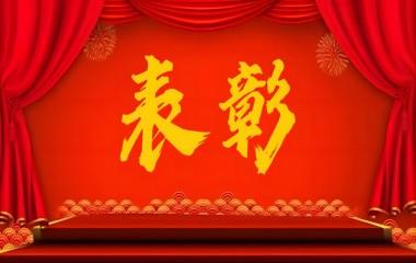 “两优一先”风采|远东电缆（宜宾）载誉归来
